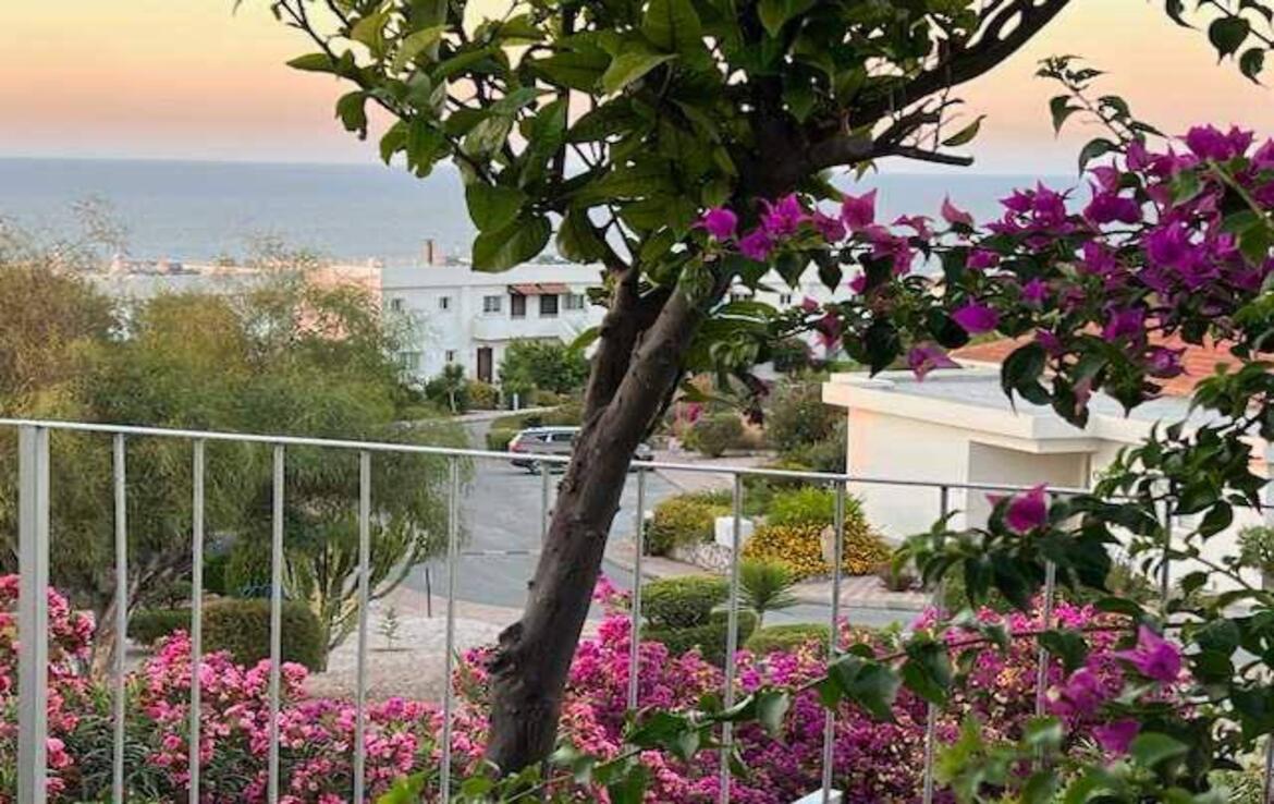 Аренда квартиры 3+1 в Бахчели