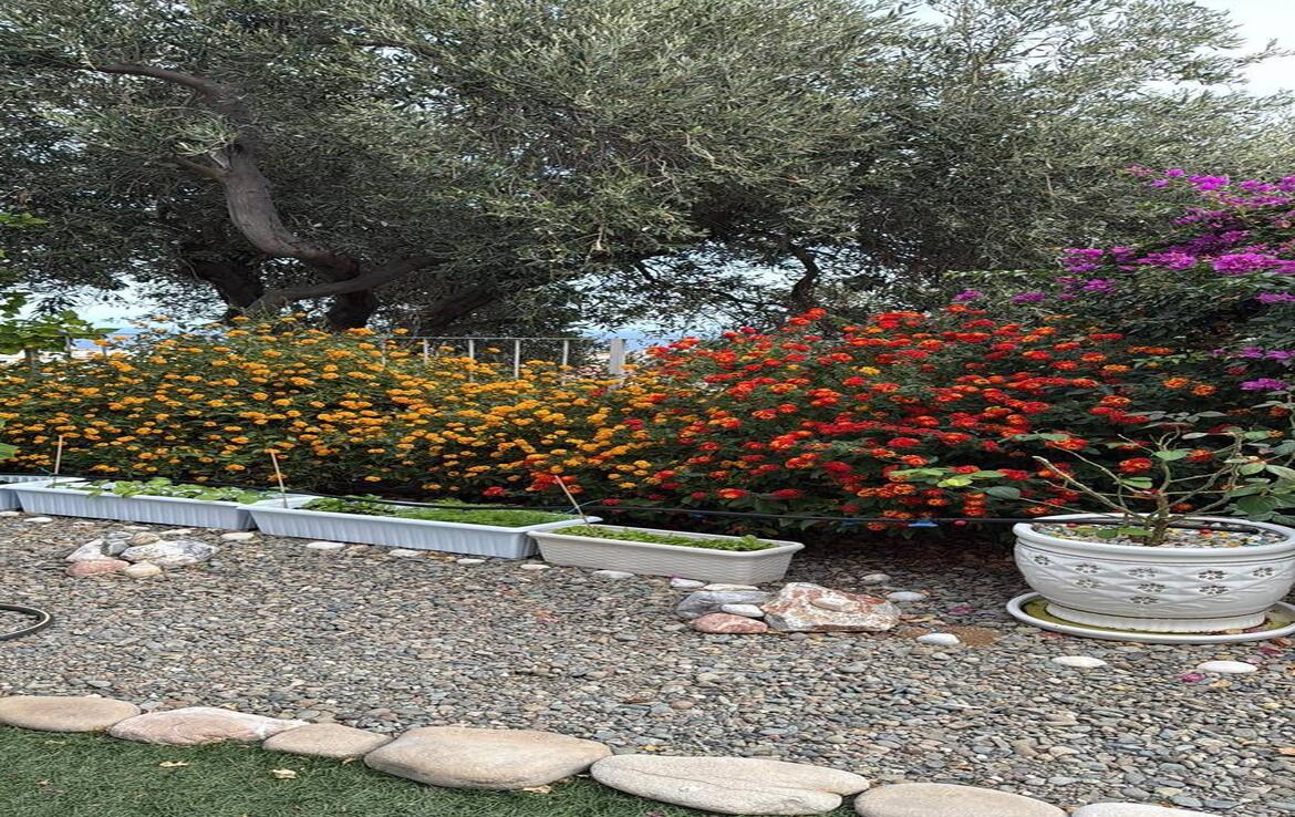 Аренда квартиры 3+1 в Бахчели